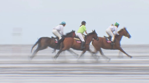 Drei Reiterinnen jagen mit ihren Pferden über das Watt beim Duhner Wattrennen.