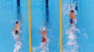 Blick von der Hallendecke auf die drei führenden Schwimmer im Olympia-Finale über 1.500 Meter mit Florian Wellbrock.