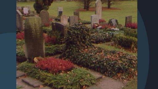 Ein Grab ohne Grabstein auf einem Friedhof, Efeu rankt sich auf dem Grab.