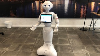 Der Roboter Pepper aus Bremerhaven