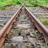 Pflanzen wachsen zwischen rostigen Bahngleisen.