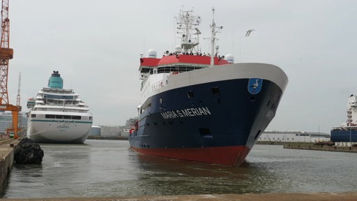 Das Schiff Maria S.Merian in einem Hafen.