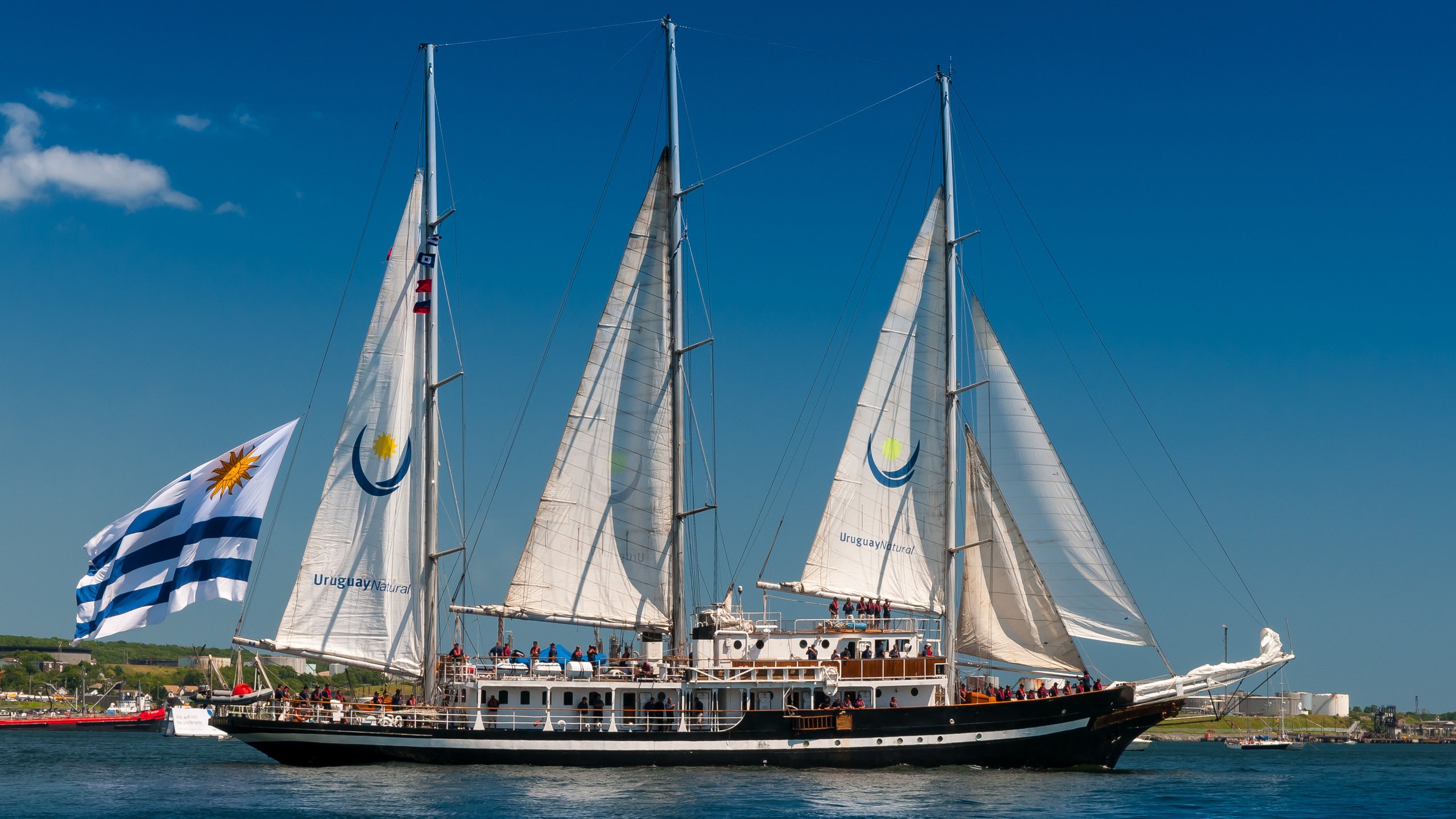 Diese 5 großen Schiffe kommen zur Sail 2025 nach Bremerhaven buten un binnen