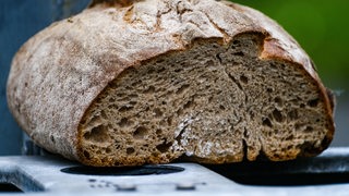 Ein verschimmeltes Brot.