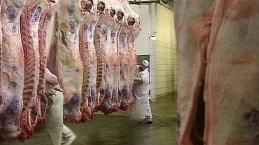 Ein Schlachthof in dem viele tote Rinder hängen. Es ist ein Archivbild.