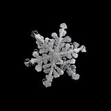Eine weiße Schneeflocke vor einem schwarzen Hintergrund