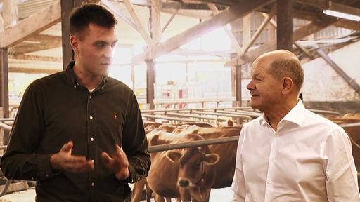 Der Bundeskanzler und Landwirt Max Sündermann in einem Stall, im Hintergrund Kühe.