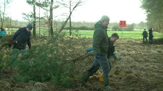 Schüler schleifen einen gefällten Baum hinter sich her.