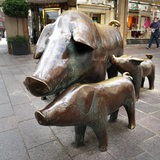 Die Schweineskulpturen in der Sögestrasse in Bremen