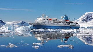 Ein weiß-blaues Kreuzfahrtschiff liegt zwischen Eisschollen im Wasser.