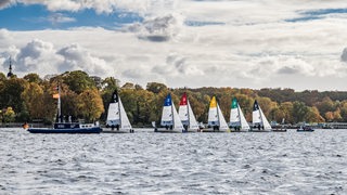 Mehrere Segelboote mit aufeblähten Segeln beim Bundesliga-Rennen auf  dem Berliner Wannsee.