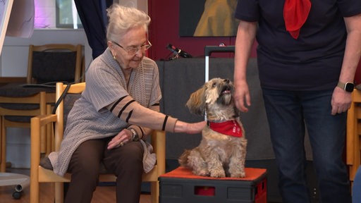 Der Havanneser Hündin Lilly zu Besuch im Altersheim Delmenhorst.