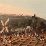 Schwarze Sklaven arbeiten pflanzen Zuckerrohr auf Feldern an. 1833, Historisch, digital restaurierte Reproduktion von einer Vorlage aus dem 19. Jahrhundert