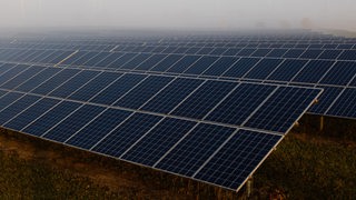 Solarmodule eines Solarpark liegen im morgendlichen Nebel.