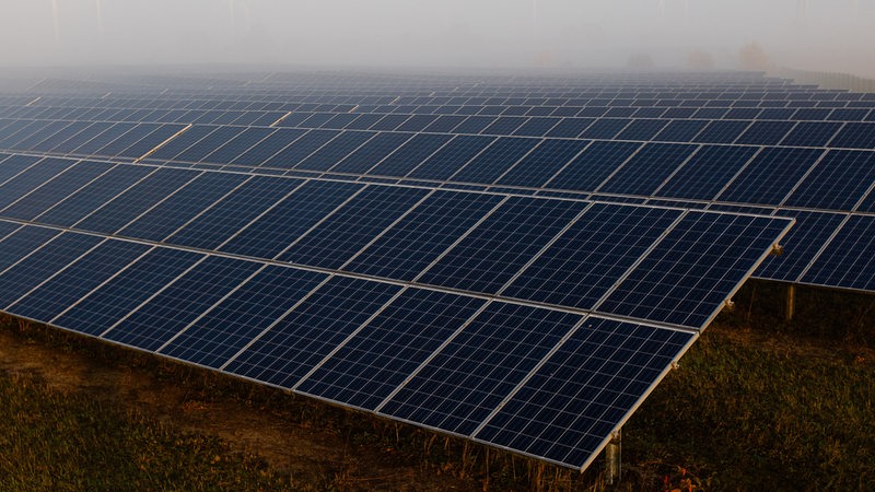 Solarmodule eines Solarpark liegen im morgendlichen Nebel.