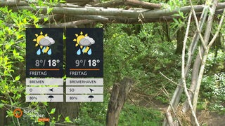Die Wettertafeln, dahinter ein wald zu sehen