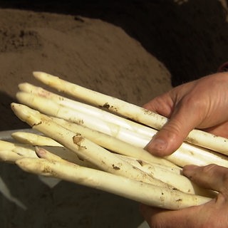 Spargelstangen liegen in einer Hand.