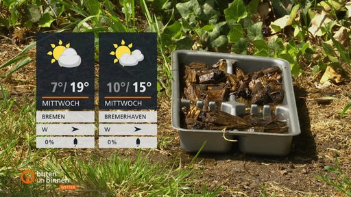 Die Wetterkacheln links im Bild und rechts sehen wir gegrilltes Fleisch in einer Box.