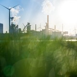 Im Vordergrund grünes Gras. Im Hintergrund Industrieschornsteine und Gebäude, aufgehende Sonne.