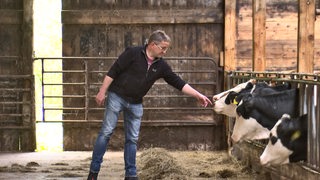Ein Mann streckt seine Hand zu einer Kuh