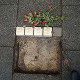 Kleine helle Steine liegen nebeneinander in einem Loch im Pflaster. Daneben liegen Rosen.