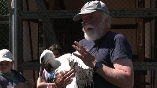Der Wildstorch-Betreuer Hans-Joachim Winter hat einen Jungvogel auf dem Arm und erklärt einer Schulklasse etwas.