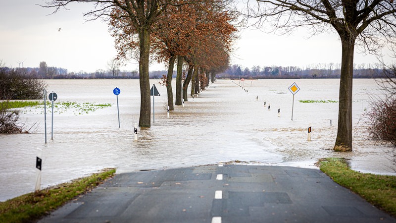 Hochwasser: Eine Straße im Landkreis Nienburg ist überschwemmt