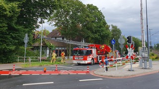 Feuerwehrleute begutachten einen umgefallenen Baum, der auf einem Gebäude liegt.