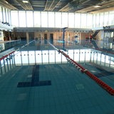 Zu sehen ist das Schwimmbecken im Südbad.