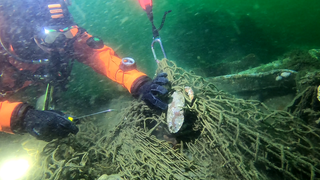 Taucher schneidet ein Fischernetz frei