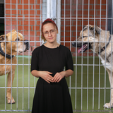 Eine Frau moderiert. Im Hintergrund sind zwei Hunde zu sehen.
