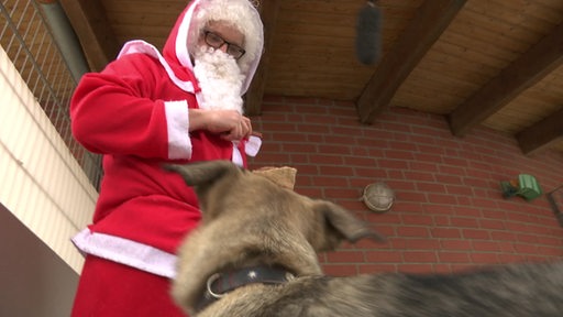 Ein Mann, welcher als Weihnachtsmann verkleidet ist steht vor einem Hund im Tierheim.