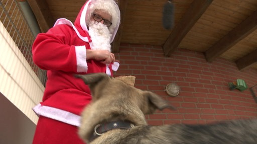 Ein Mann, welcher als Weihnachtsmann verkleidet ist steht vor einem Hund im Tierheim.