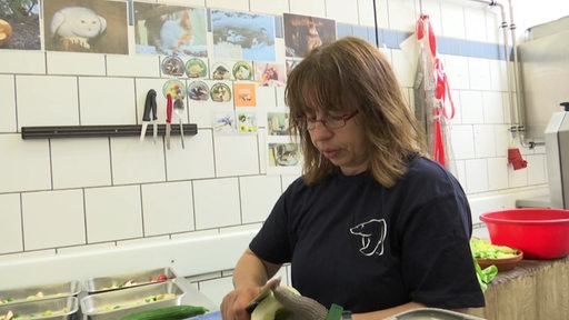 Eine Tierpflegerin, des Zoos am Meer in Bremerhaven, schneidet Obst und Gemüse für die Tiere klein.
