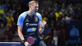 Der schwedische Tischtennis-Profi Mattias Falck schreit bei der Team-Europameisterschaft in Malmö seinen Jubel im Final-Spiel gegen Timo Boll heraus.