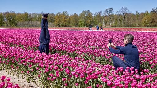 Ein Mann sitzt in einem Tulpenfeld und fotografiert eine Frau, die auf dem Kopf steht.