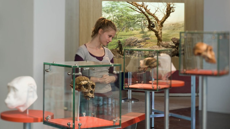 Junge Frau vor rekonstruierten Tierköpfen in einem Museum
