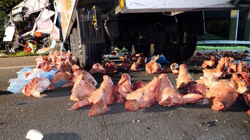 Nach einem Unfall auf der A27 liegen Schweineköpfe auf der Fahrbahn