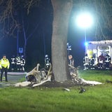 Ein komplett zerstörter und ausgebrannter Sportwagen ist gegen einen Baum geprallt. Um das Fahrzeug herum stehen Feuerwehrmänner und Feuerwehrautos.
