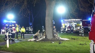 Ein komplett zerstörter und ausgebrannter Sportwagen ist gegen einen Baum geprallt. Um das Fahrzeug herum stehen Feuerwehrmänner und Feuerwehrautos.