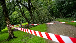 Sturmschäden im Bremer Bürgerpark: Durch Unwetter in den vergangenen Tagen sind mehrere Bäume entwurzelt worden, Teile des Parks sind abgesperrt. 
