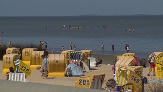 Ein voller Strand am Meer mit vielen Touristen und gelben Strandkörben.