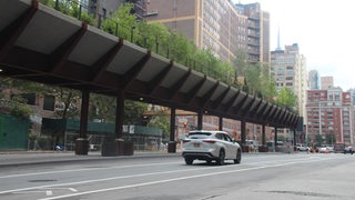 Die zum Park umgewandelte frühere Hochbahntrasse im Südwesten Manhattans ist seit kurzem über eine neue grün bepflanzte Brücke mit dem Bahnhof Penn Station verbunden.