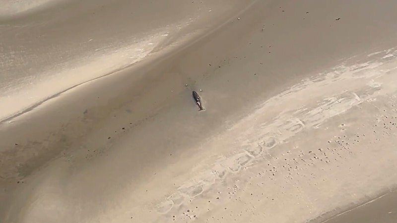 Ein Wal liegt gestrandet an der Wangerooger Küste.