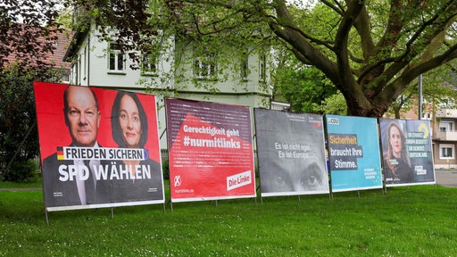 Große Plakate der SPD, Linken, FDP, CDU und Grünen zur Europawahl stehen an einer Wiese.