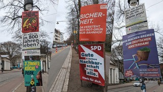 Collage zeigt Wahlplakate an Laternen und Bäumen in Bremen von verschiedenen Parteien, die zur Bürgerschaftswahl antreten