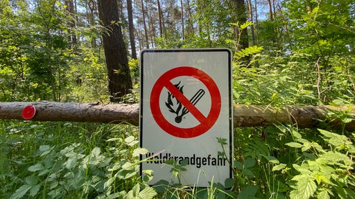 Ein Schild mit Aufschrift "Waldbrandgefahr" hängt in einem Wald 