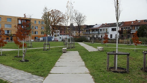 Wege, Rasen und junge Bäume auf dem Dedesdorfer Platz, im Hintergrund neue Häuser vom Projekt "Waller Mitte" und ältere Bebauung.