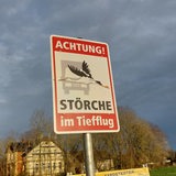 Auf einem Warnschild fliegt ein Storch vor einen Lkw.