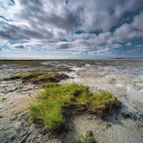 Wattenmeer bei Ebbe am Naturstrand Hilgenriedersiel in Niedersachsen
